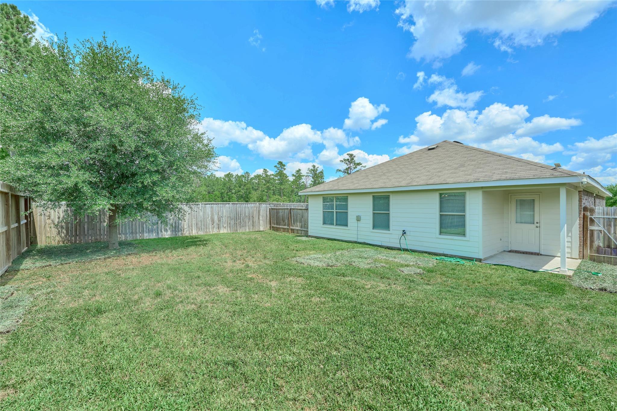 24439 Raindrop Poppy Drive
