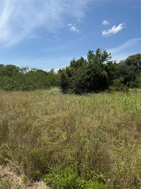 Photo of 0 County Road 438, Snook, TX 77878 (MLS # 14030483)