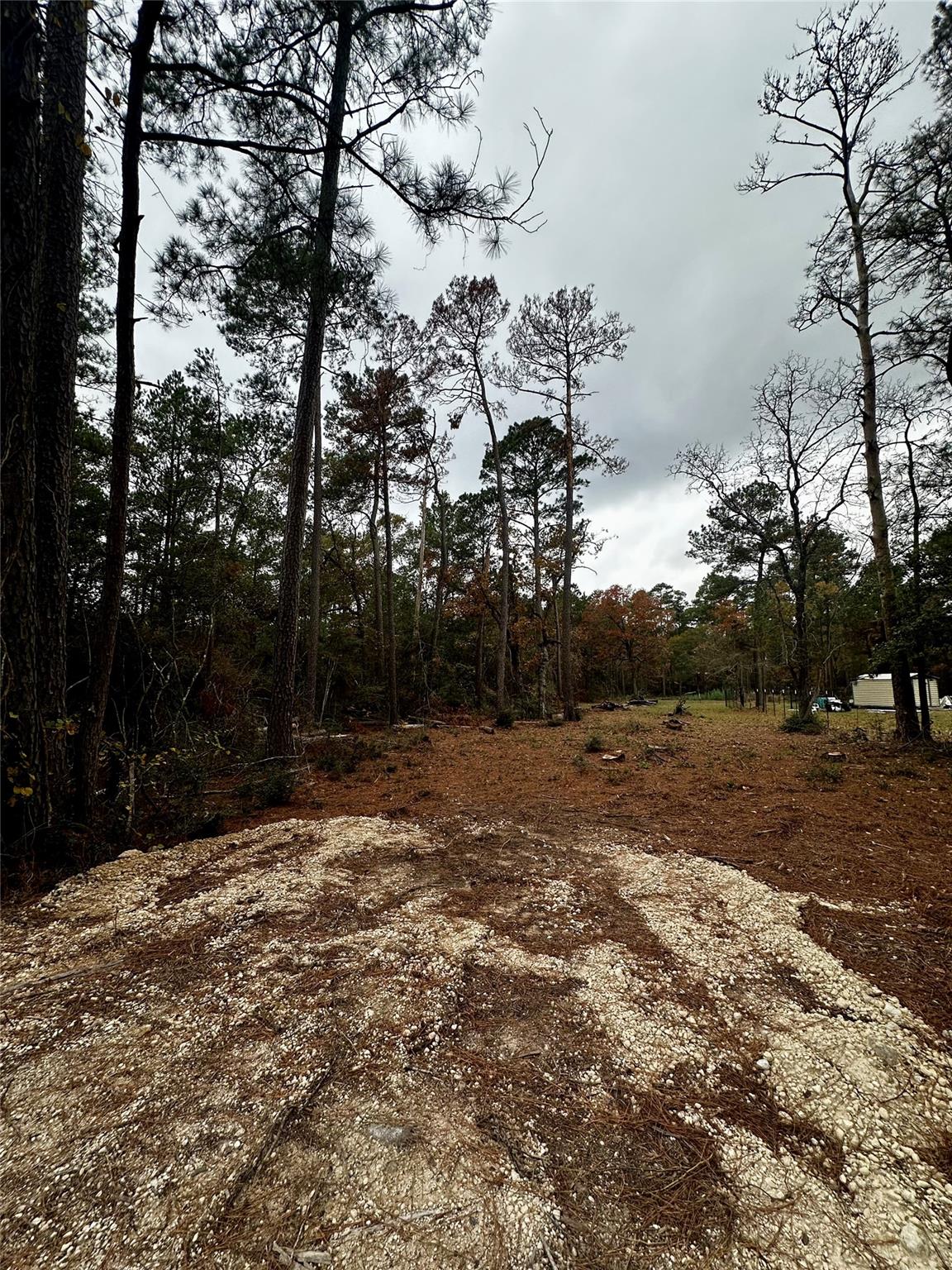 15172 Cherry Laurel Lane