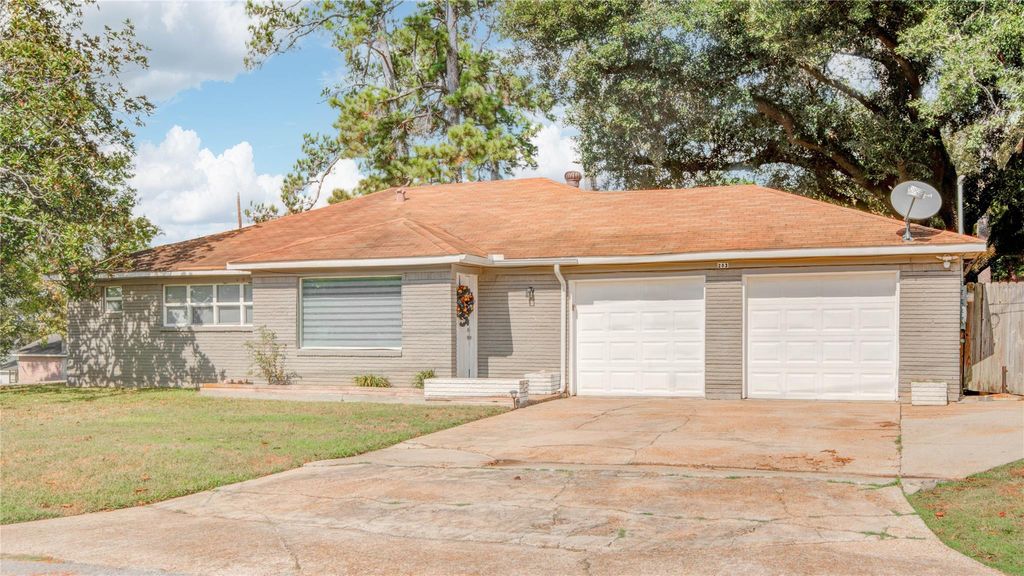 Photo of 203 Moose Jaw Lane, Houston, TX 77336 (MLS # 16470895)