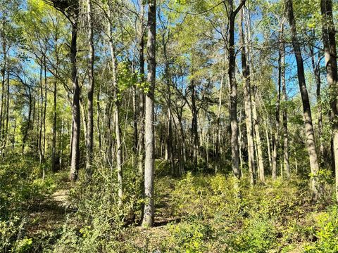 Photo of TBD Railroad Avenue, Shepherd, TX 77371 (MLS # 34325802)