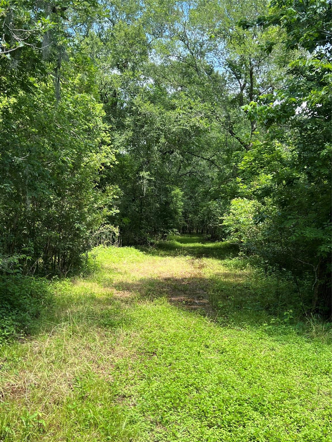 tract 15 Laguna Trail