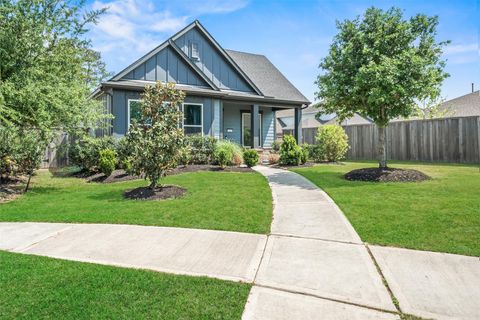 Homes For Sale - 202 Thistle Drive<br/> Montgomery, TX 77316