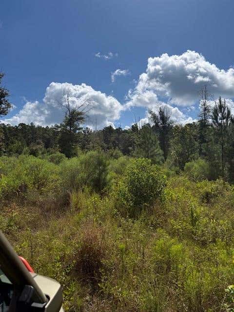 Photo of 12964 County Road 1027, Newton, TX 75966 (MLS # 50294076)