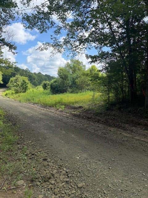 Tiny photo for 12964 County Road 1027, Newton, TX 75966 (MLS # 50294076)