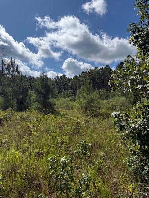 Tiny photo for 12964 County Road 1027, Newton, TX 75966 (MLS # 50294076)
