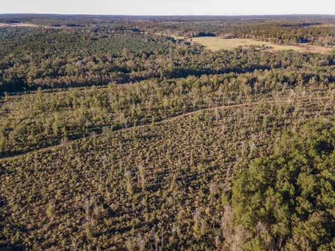 Tiny photo for 12964 County Road 1027, Newton, TX 75966 (MLS # 50294076)