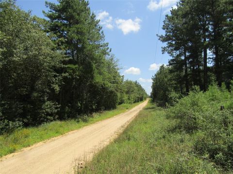 Vacant Land For Sale - 560 County Road 4502<br/> Tyler County, Hillister, TX 77624