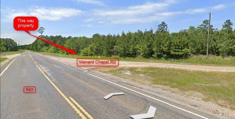00 Menard Chapel Road Livingston TX 77351