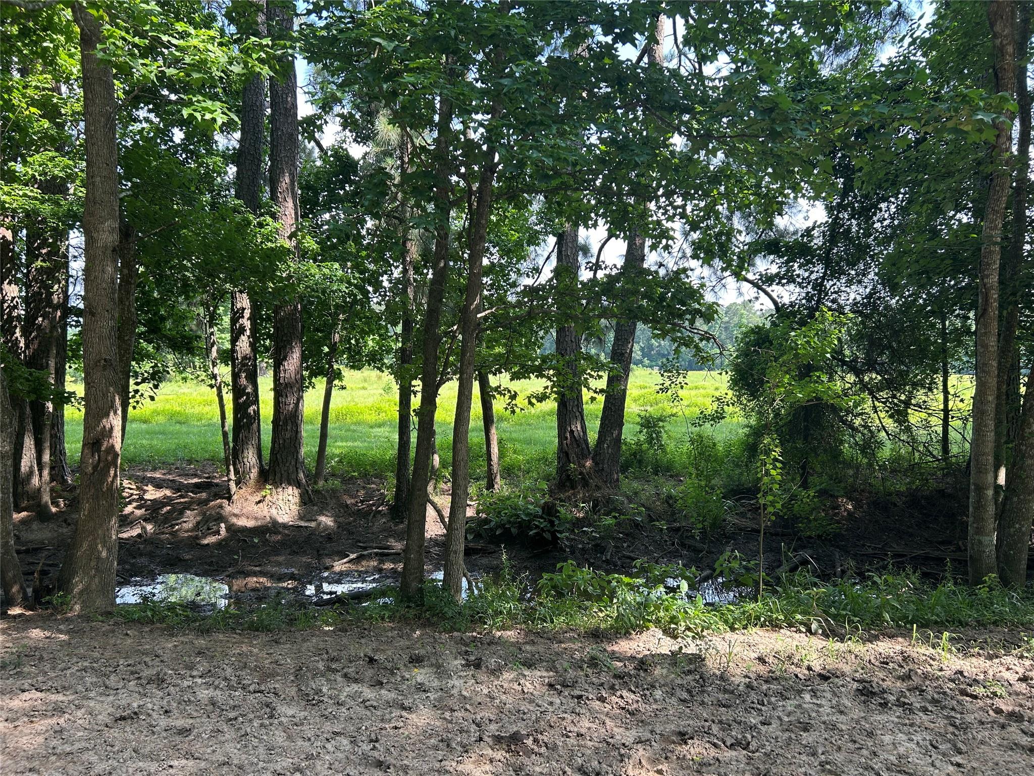 Lot 2 Minnie West Rd