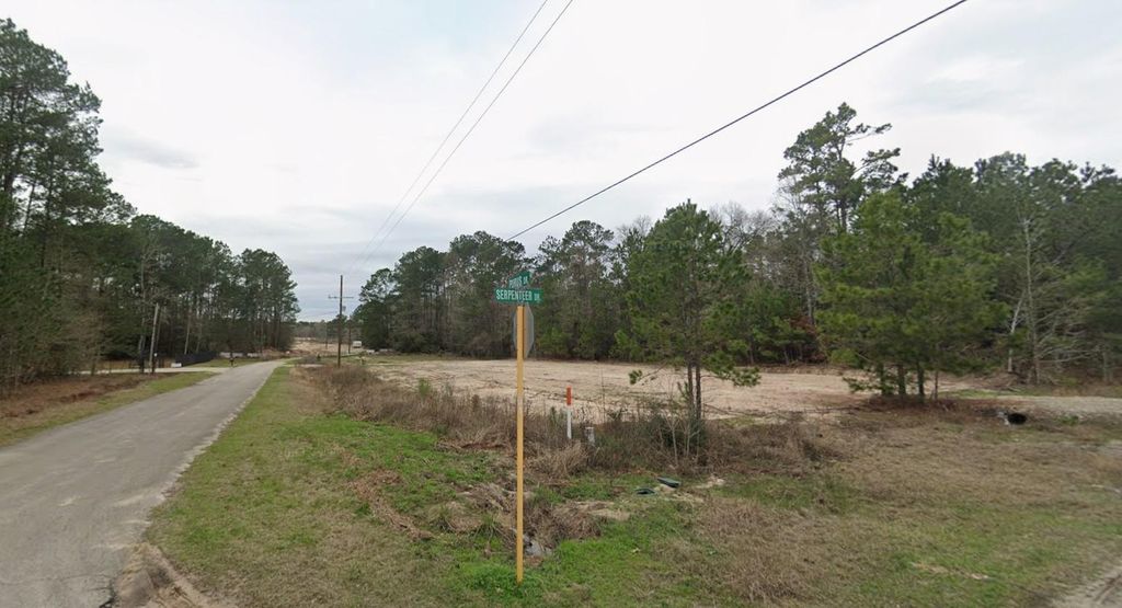 Photo of 19131 Serpenteer Drive, Porter, TX 77365 (MLS # 65928549)