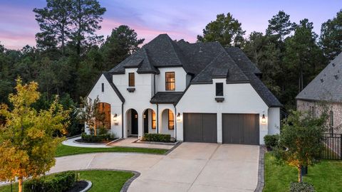 324 S Opulent Drive Montgomery TX 77316