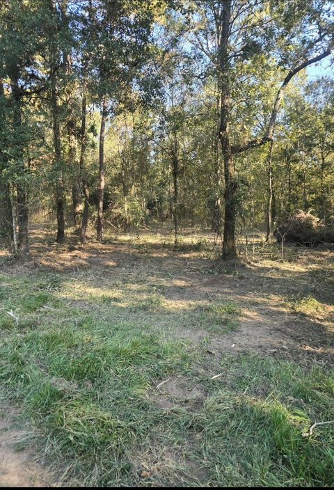 Vacant Land For Sale - 0 TBD Hwy 150<br/> Coldspring, TX 77331