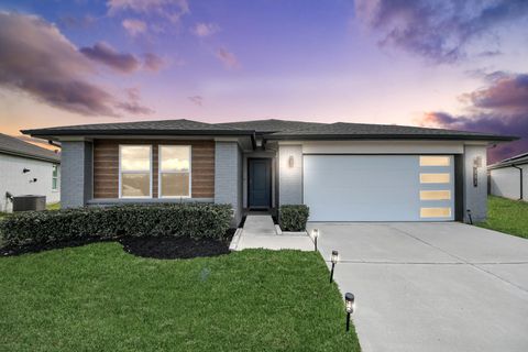 Photo of 202 Serena Park Lane, Rosharon, TX 77583 (MLS # 8695026)