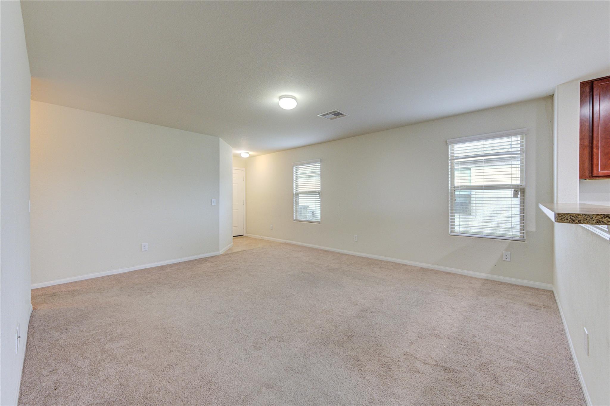 1315 Pease River Lane