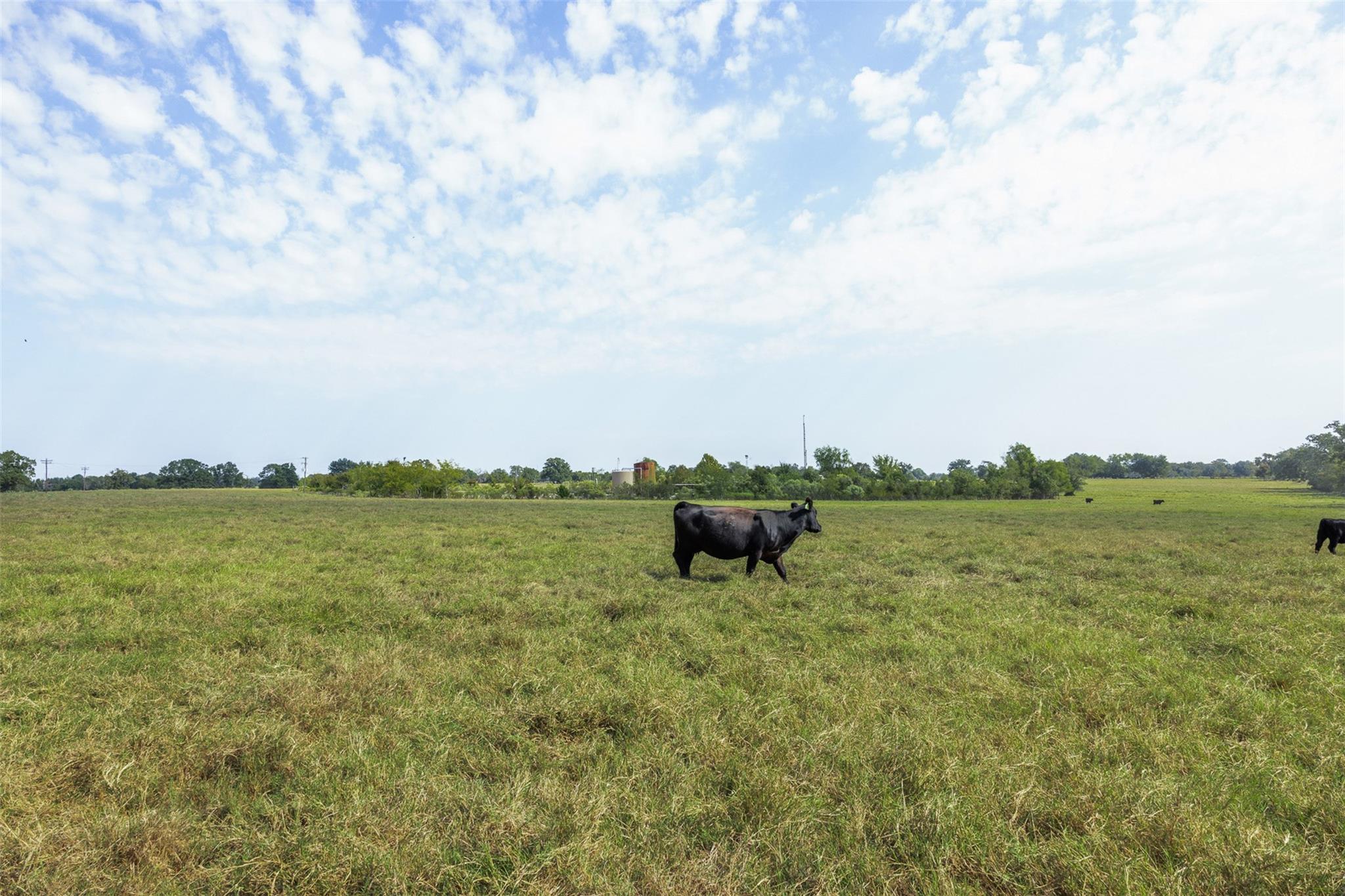 Tract 4 Rolke Ranch Road