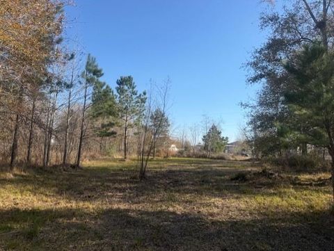 Photo of 761 County Road 3556, Cleveland, TX 77327 (MLS # 58644153)