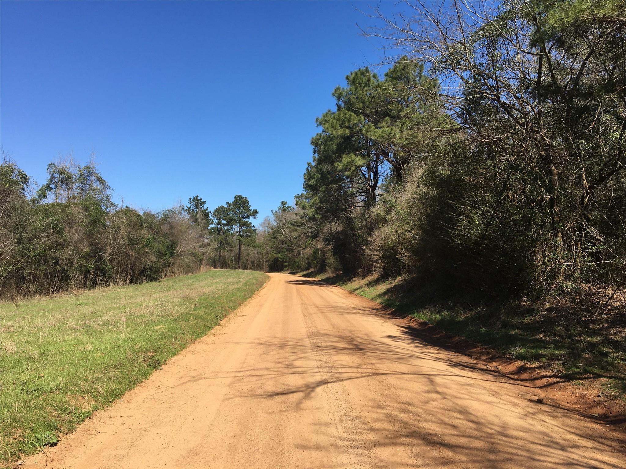 Lot 13 County Road 175
