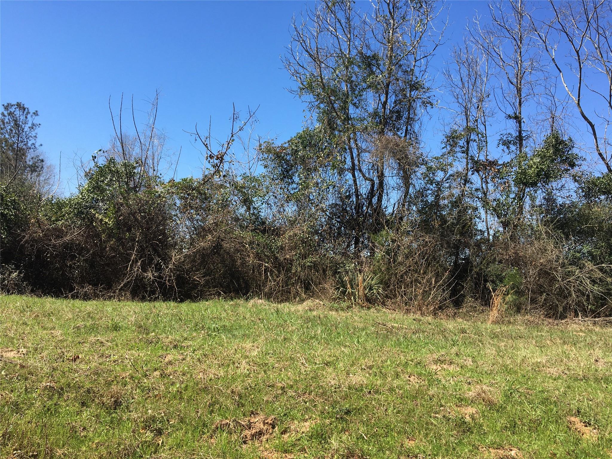 Lot 13 County Road 175
