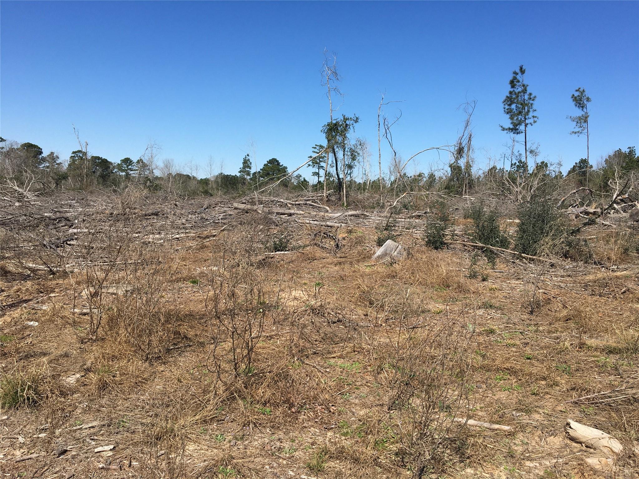 Lot 13 County Road 175