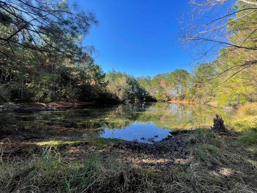 Photo of 1 E Fm 942, Camden, TX 75934 (MLS # 14054349)