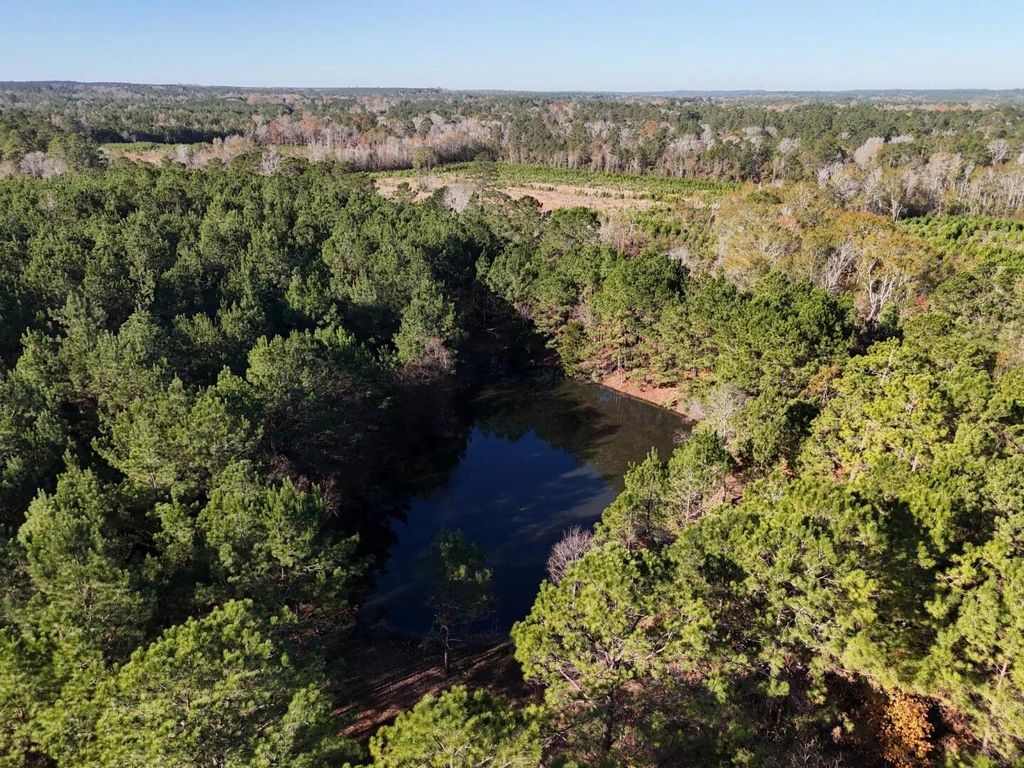 Photo of 1 E Fm 942, Camden, TX 75934 (MLS # 14054349)