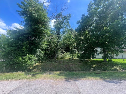 Photo of 0 Tavenor Lane, Houston, TX 77075 (MLS # 57205341)