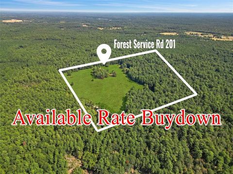 Vacant Land For Sale - 00 Forest Service Road 201<br/> Cleveland, TX 77328