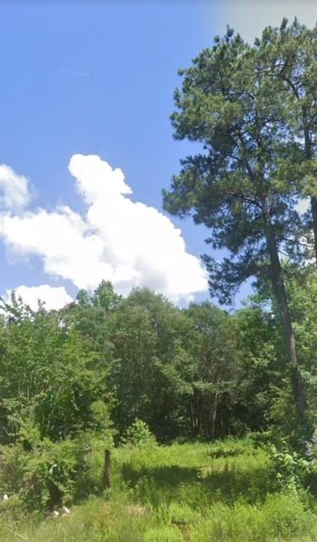 Photo of 19137 Rye Court, New Caney, TX 77357 (MLS # 45222381)