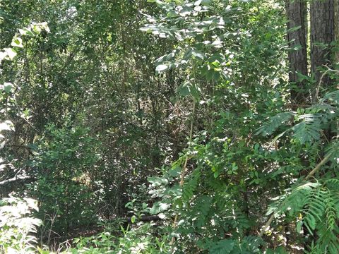 Photo of 0 Stacy Jobe Road, Livingston, TX 77351 (MLS # 86852860)