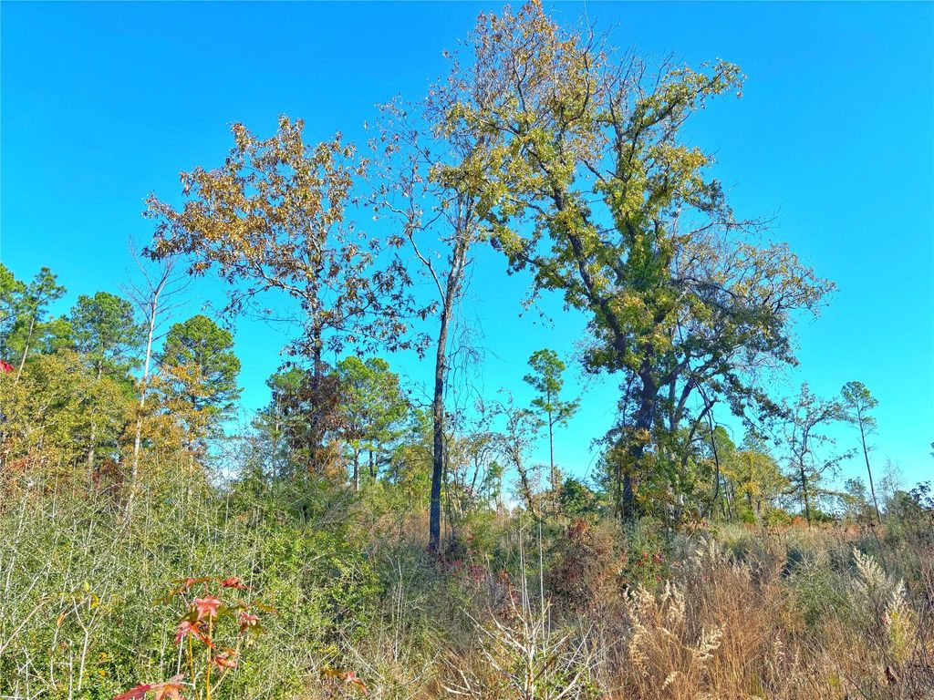 Photo of 0 Fm 2022, Grapeland, TX 75844 (MLS # 8627909)