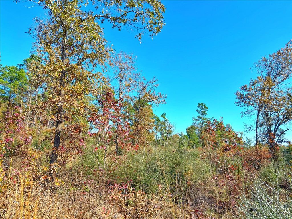 Photo of 0 Fm 2022, Grapeland, TX 75844 (MLS # 8627909)