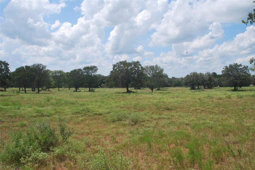 Photo of 24 N State Highway 95, Flatonia, TX 78941 (MLS # 59726791)