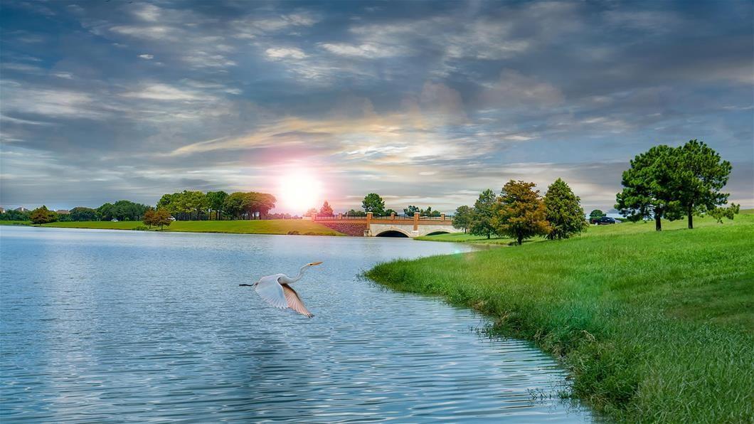 10814 Rosary Pea Lane