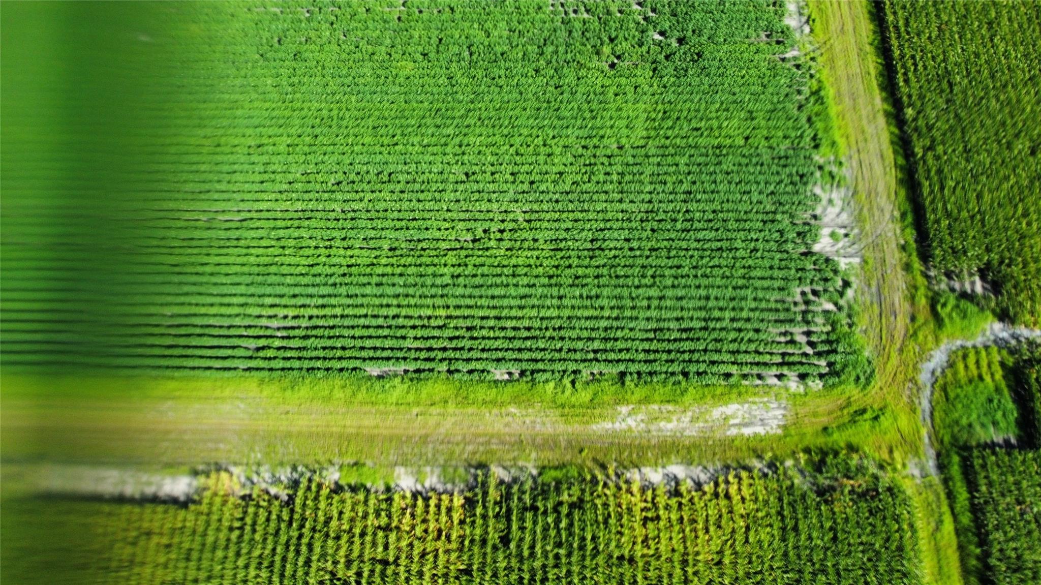 0 Williams School Road