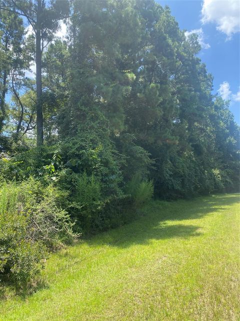22922 Blackgum Drive Magnolia TX 77355