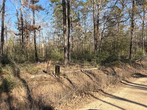 TBD Wild Bird Lane Livingston TX 77351