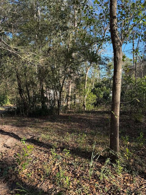 Photo of 15726 Holly Drive, Montgomery, TX 77356 (MLS # 66390381)