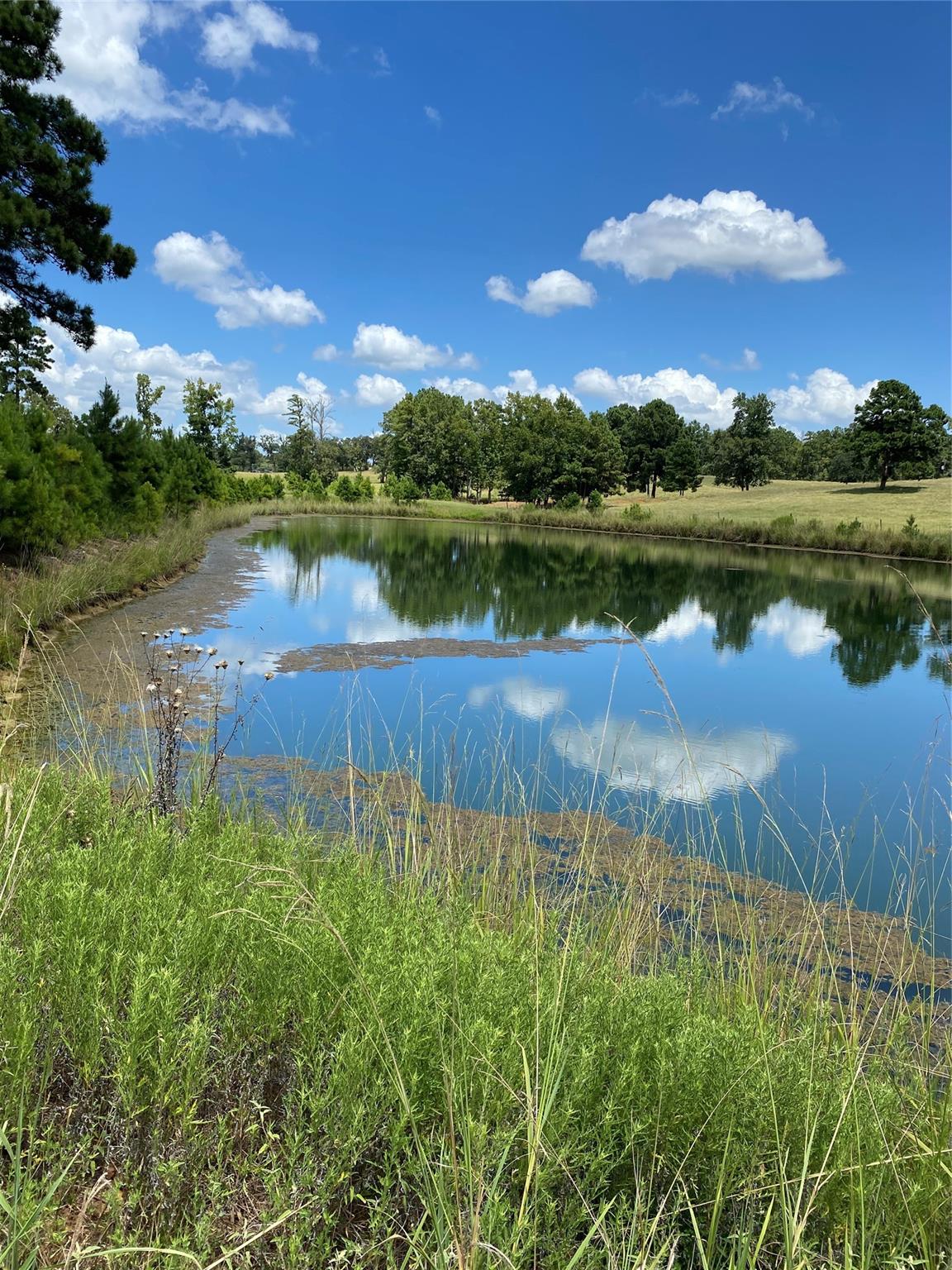 11109 County Road 207