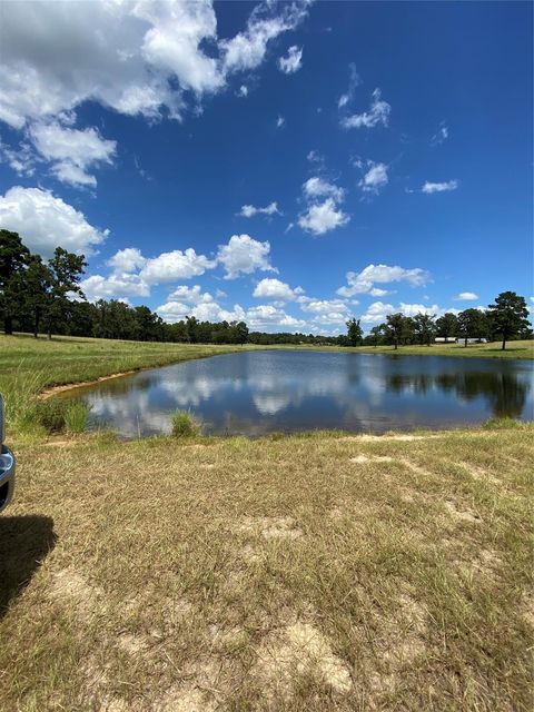 Vacant Land For Sale - 11109 County Road 207<br/> Centerville, TX 75833