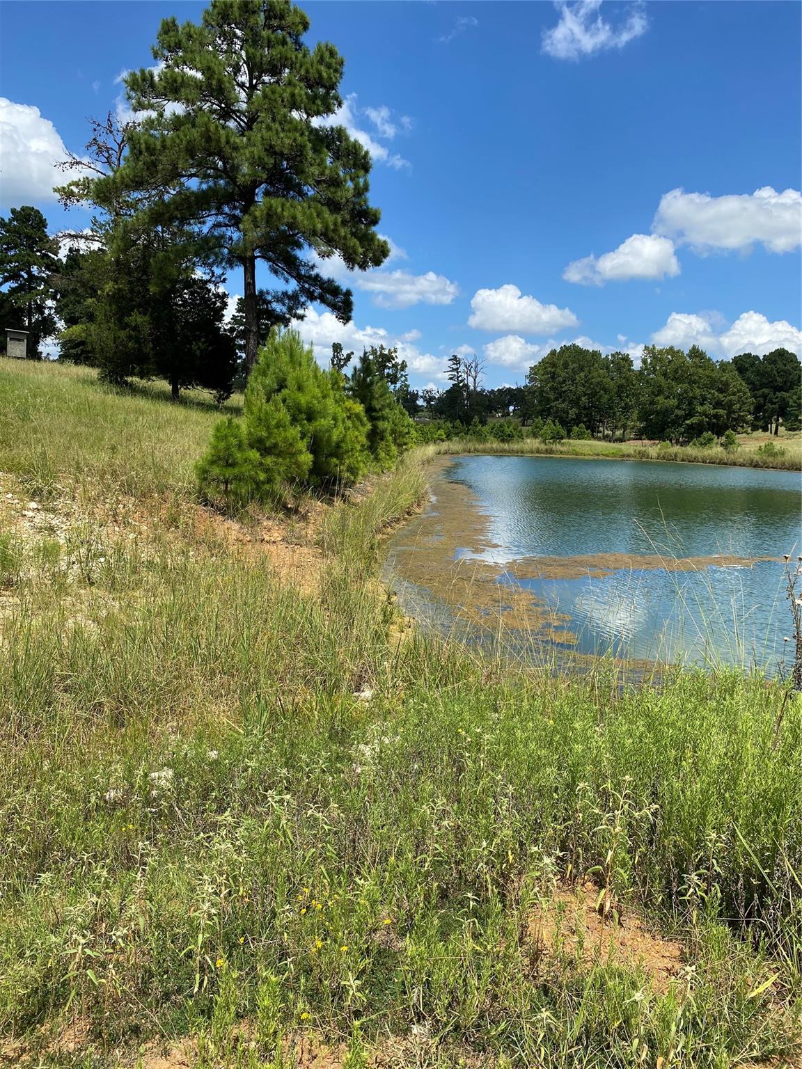 11109 County Road 207