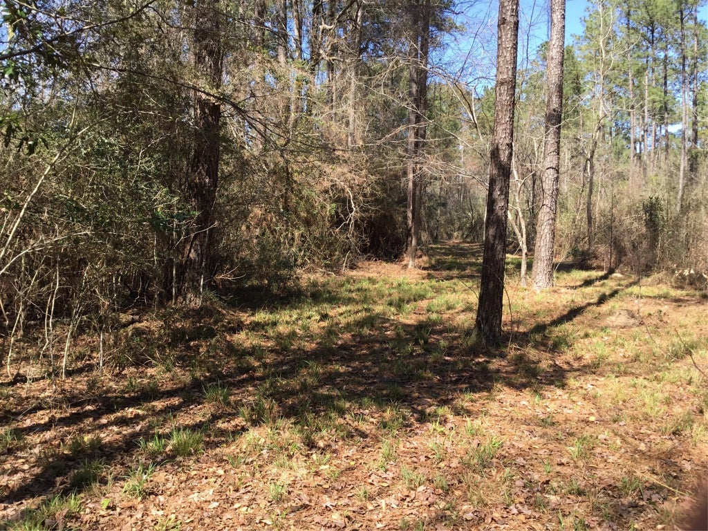 Photo of 0 Buffalo Lane, Silsbee, TX 77656 (MLS # 27082900)