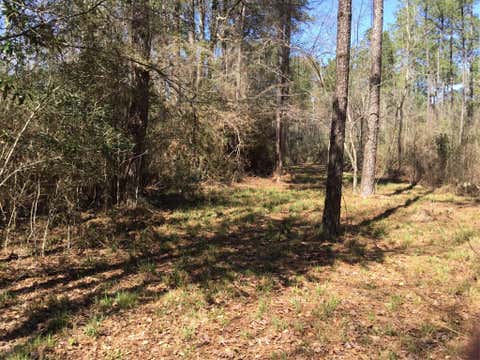 Photo of 0 Buffalo Lane, Silsbee, TX 77656 (MLS # 27082900)
