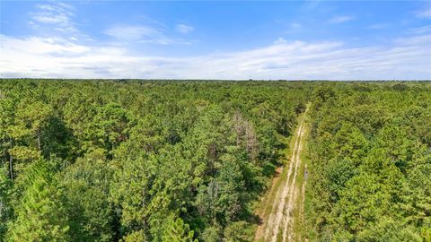 Photo of 680 Hwy 105, Sour Lake, TX 77659 (MLS # 25420482)