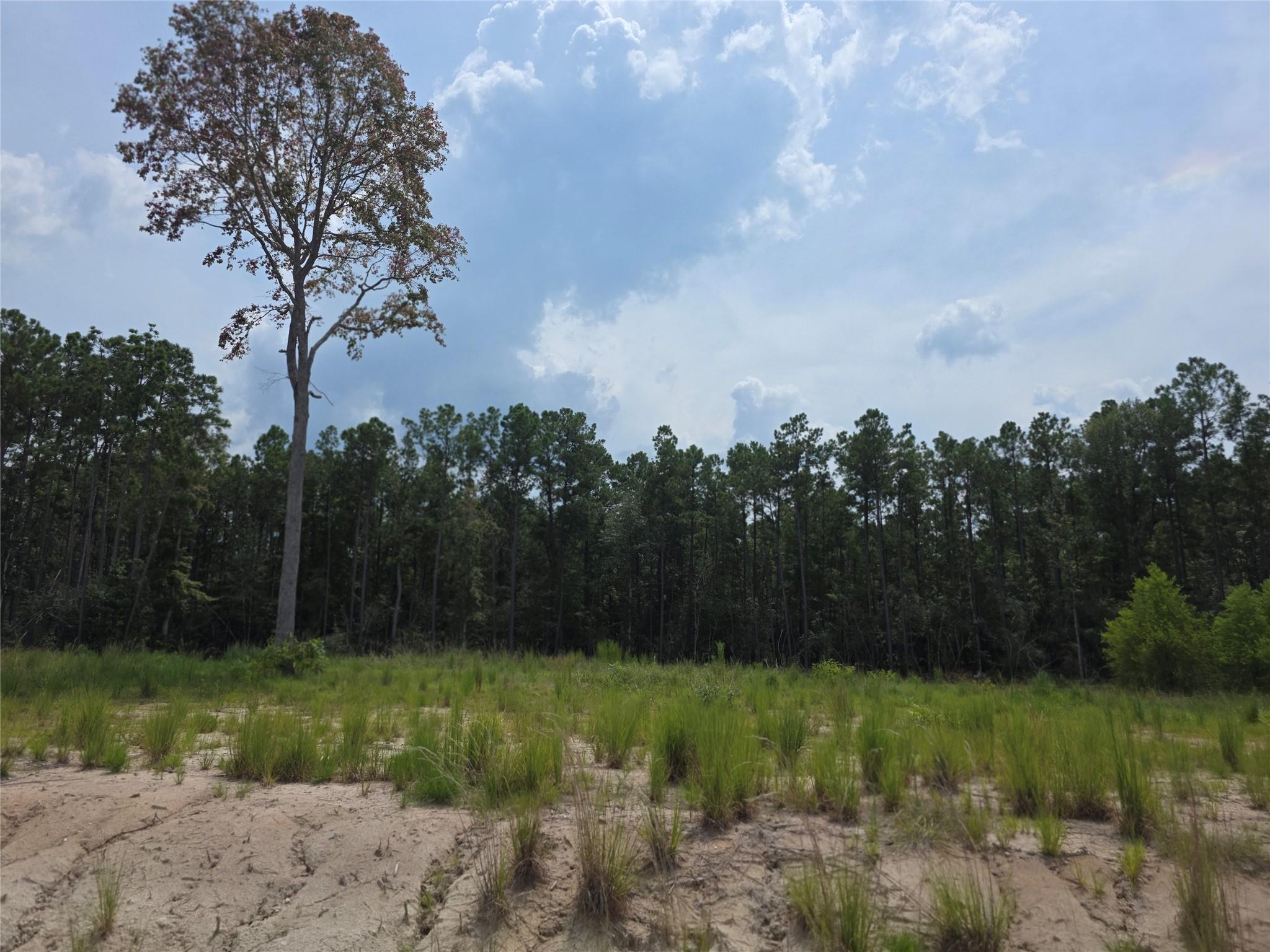 139 Rayburn Reserve Drive