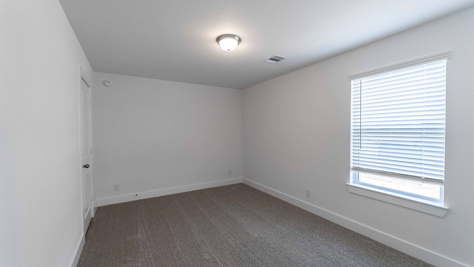 2819 Beebalm Flower Street