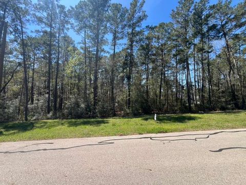 Photo of 0 Sandpiper Drive, New Waverly, TX 77358 (MLS # 96050595)