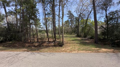 Vacant Land For Sale - 31910 Oaks Crossing Xing<br/> Magnolia, TX 77355