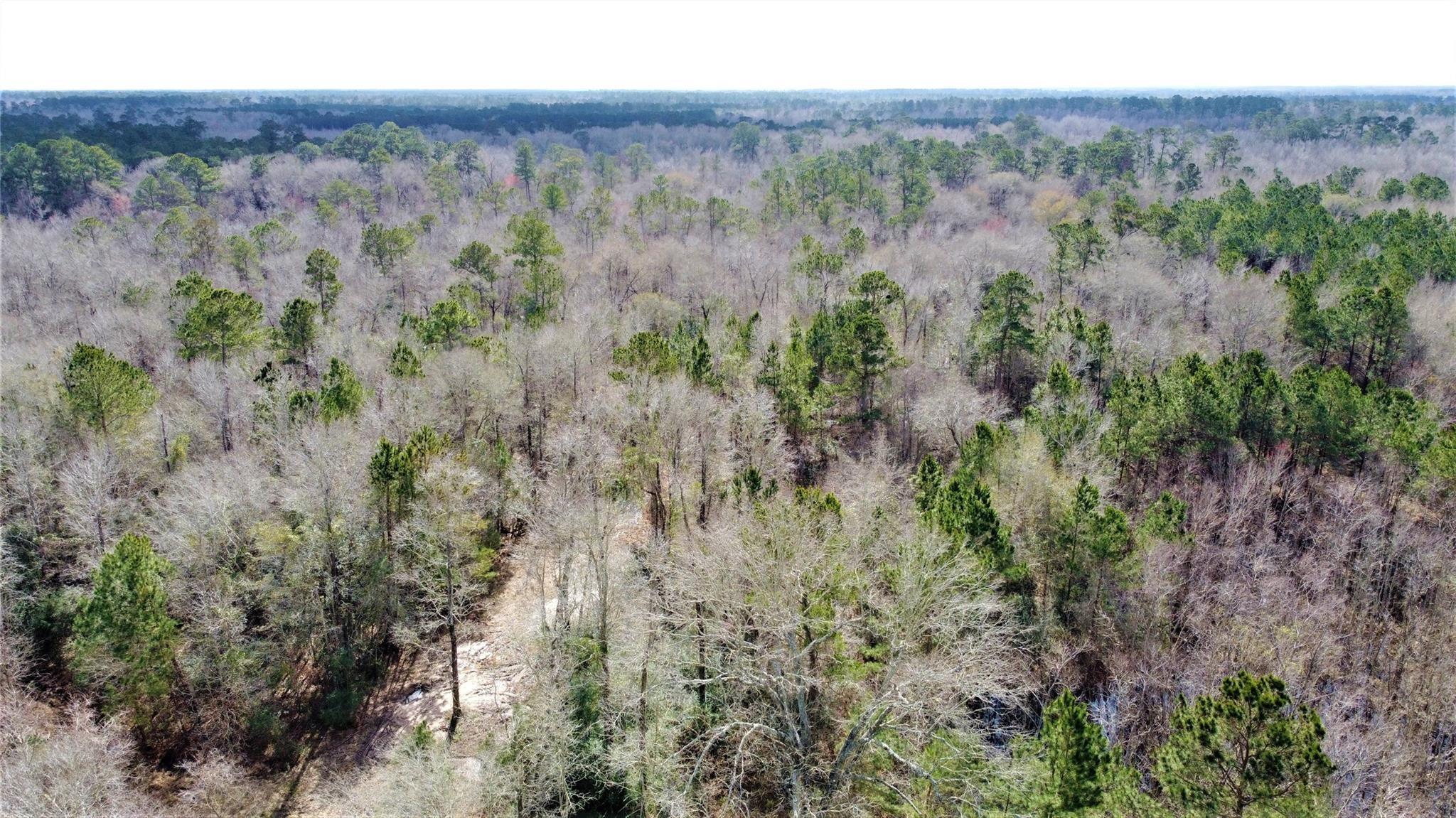 240 County Road 2017