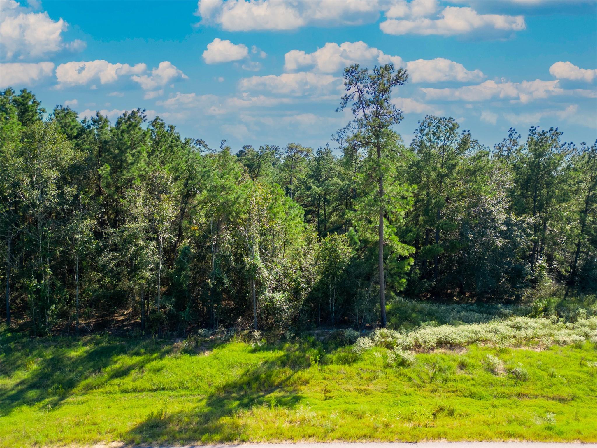 7737 Dog Wood Acres Drive